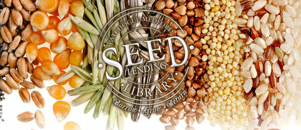 Seed library flyer pic 1