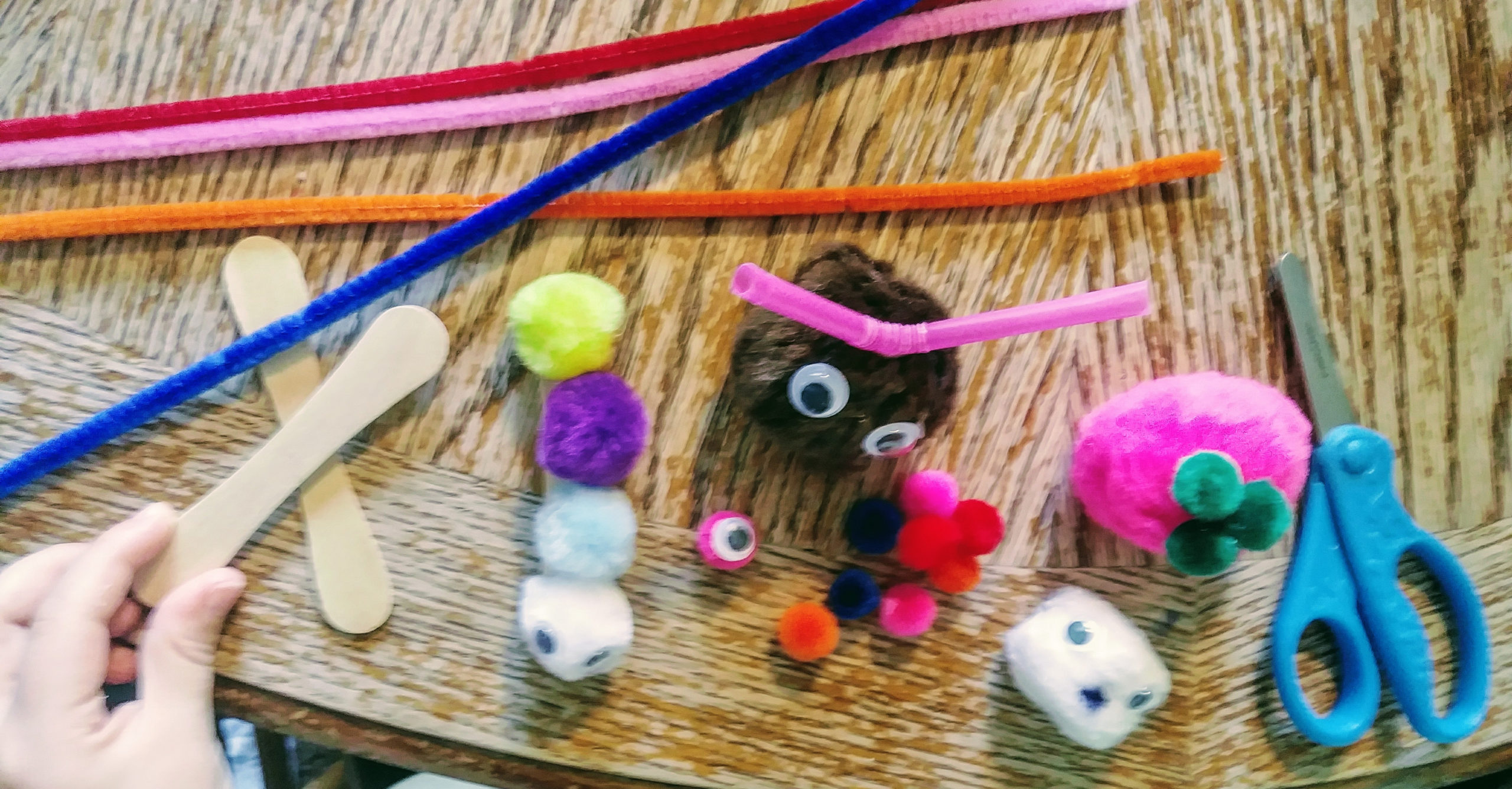 Pipe Cleaner Pets