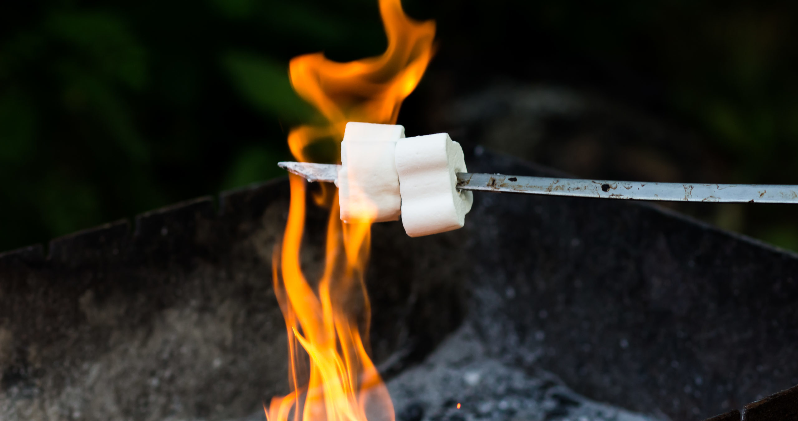 treats children stake fried marshmallow
